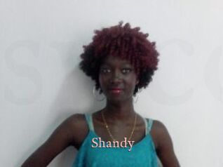 Shandy