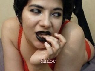 Shiloe