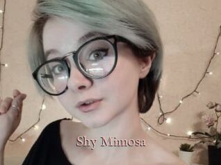 Shy_Mimosa