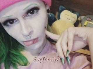 SkyBurrito
