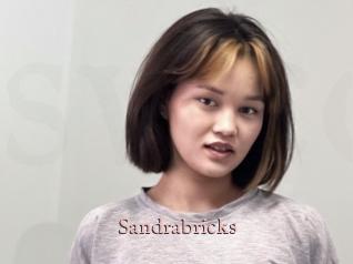 Sandrabricks