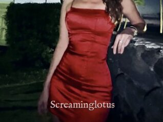 Screaminglotus