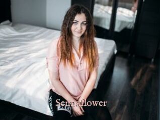 Sennaflower