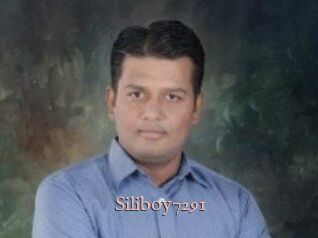 Siliboy7291
