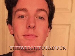THEWEIGHTOFADUCK