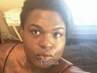 TS_Shea