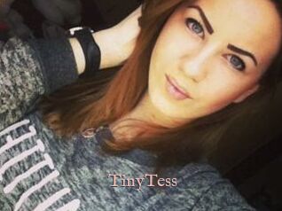 TinyTess