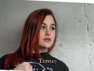 Toro27