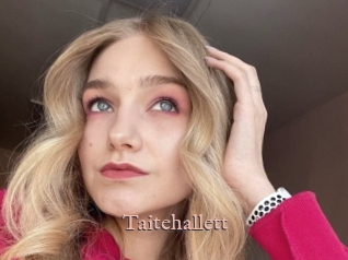 Taitehallett