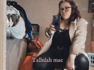 Tallulah_mae