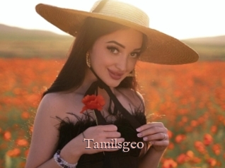 Tamilsgeo