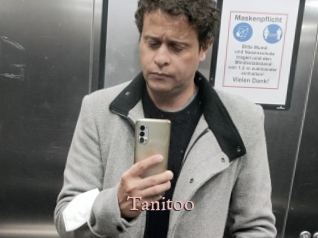 Tanitoo