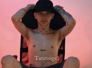 Tatevogel