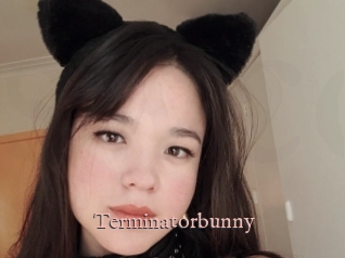 Terminatorbunny