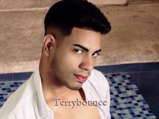 Terrybounce