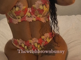 Thewelshbrownbunny