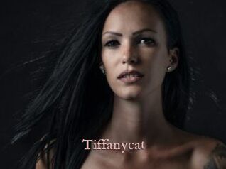 Tiffanycat