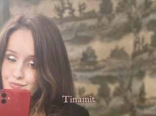 Tinamit