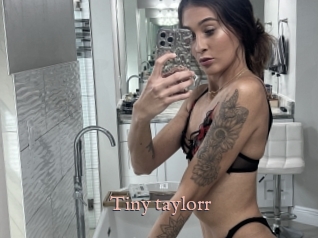 Tiny_taylorr
