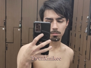 Twunkmikee