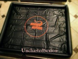 UnchartedSexion