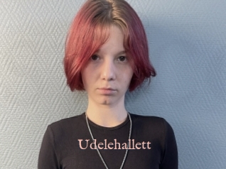 Udelehallett