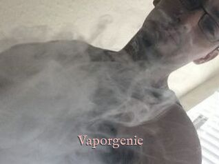 Vapor_genie
