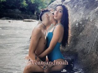 Venusandnoah