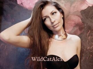 WildCatAlex
