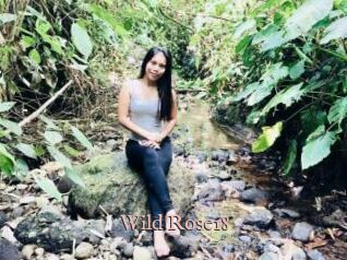 Wild_Rose18