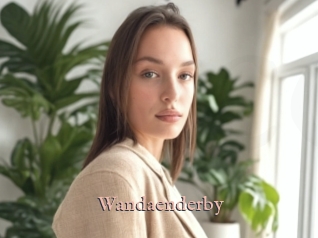 Wandaenderby