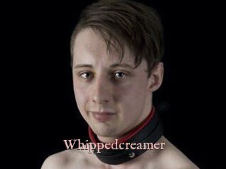 Whippedcreamer