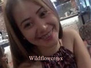 Wildflower69x