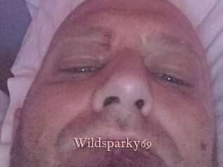 Wildsparky69