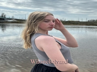 Wilonebolyard
