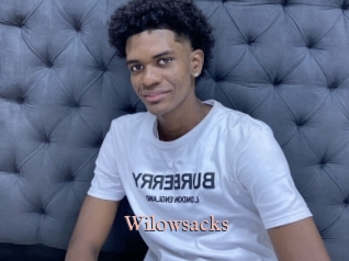 Wilowsacks