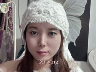 Xuzang