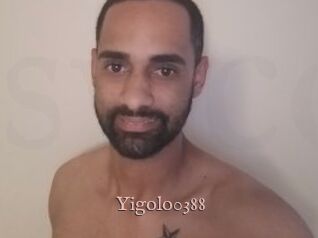 Yigolo0388