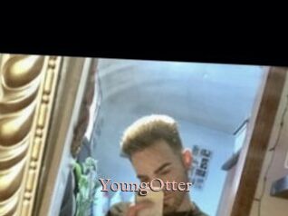 YoungOtter