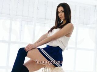 Youngevas