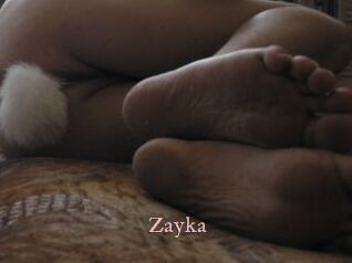 Zayka